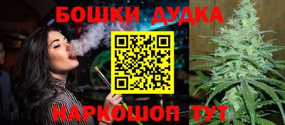 Альфа ПВП Дубна