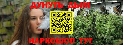 Альфа ПВП Дубна