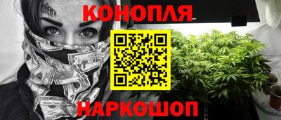 Альфа ПВП Дубна