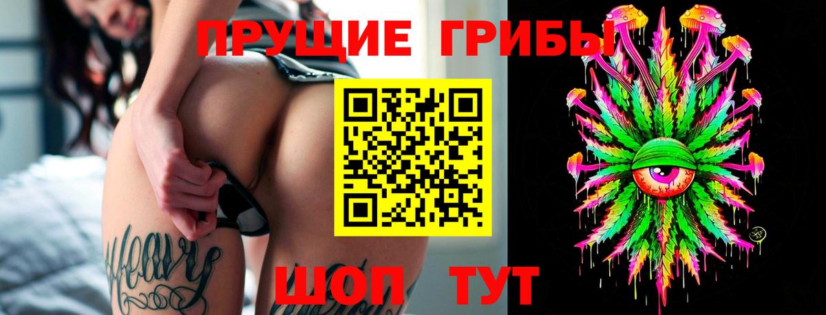 Нерюнгри  Галлюциногенные грибы Psilocybe  Вход с VPN 