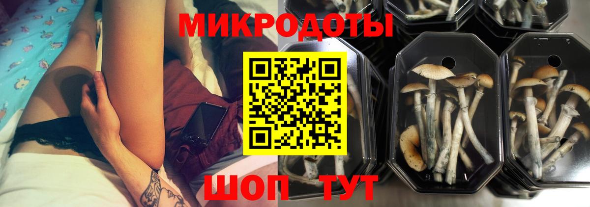 Галлюциногенные грибы прущие грибы Нерюнгри